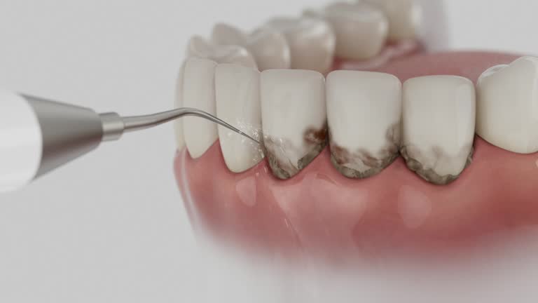 Reliable Dental contractor in Elkton, VA by Dentist Open Now
